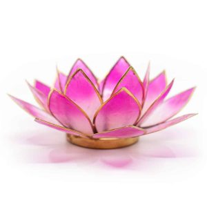 Lotus Atmosphärisches Licht 2-Farbig Weiß/Rosa Goldrand