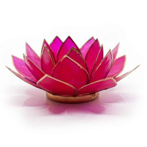 Lotus Atmosphärisches Licht Fuchsia Goldrand